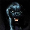 Amopovux's Avatar