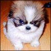 ivabok's Avatar