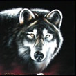 udemiwufy's Avatar