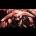 matthewbentham's Avatar